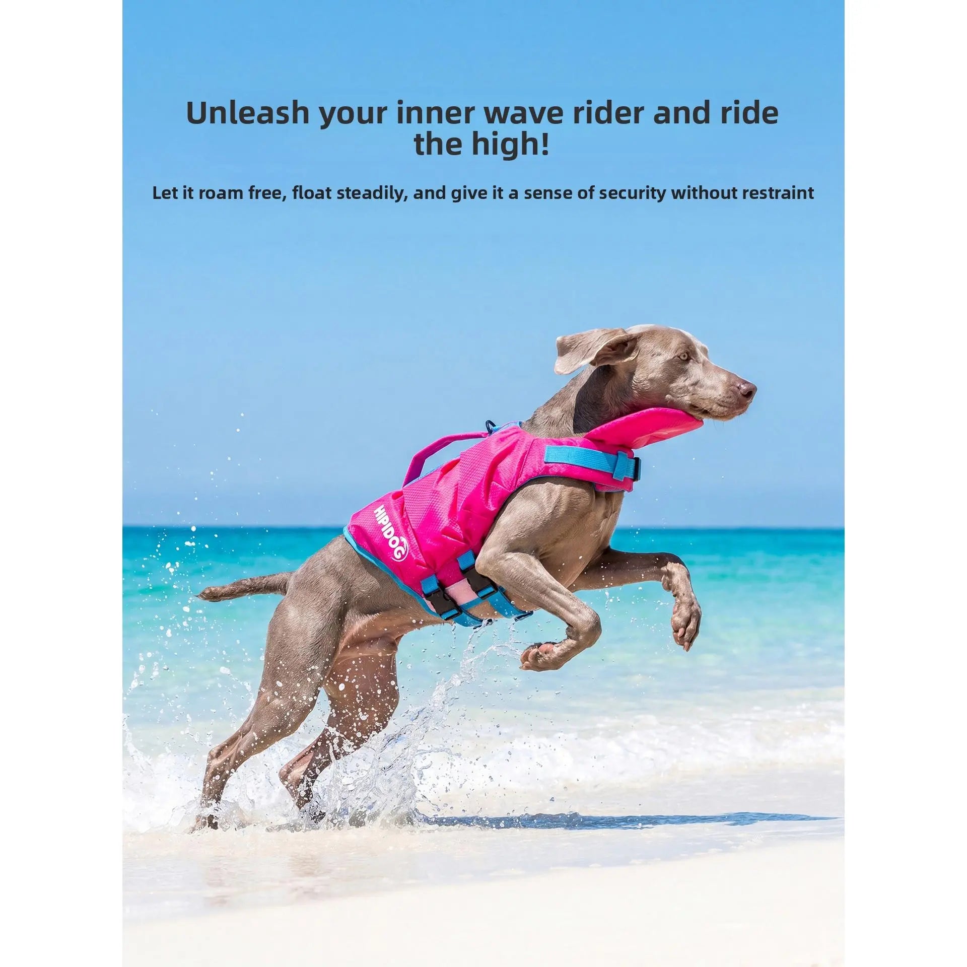 Dog Life Jacket - Pet High-Visibility Gear with Bright Contrast Colors, Ripstop Quick-Dry Fabric, Head Support, Enhances Visibility Water Safety Lifesaver for Pool, Lake Activities