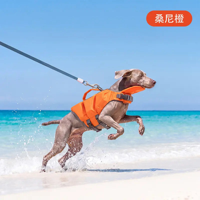Dog Life Jacket - Pet High-Visibility Gear with Bright Contrast Colors, Ripstop Quick-Dry Fabric, Head Support, Enhances Visibility Water Safety Lifesaver for Pool, Lake Activities