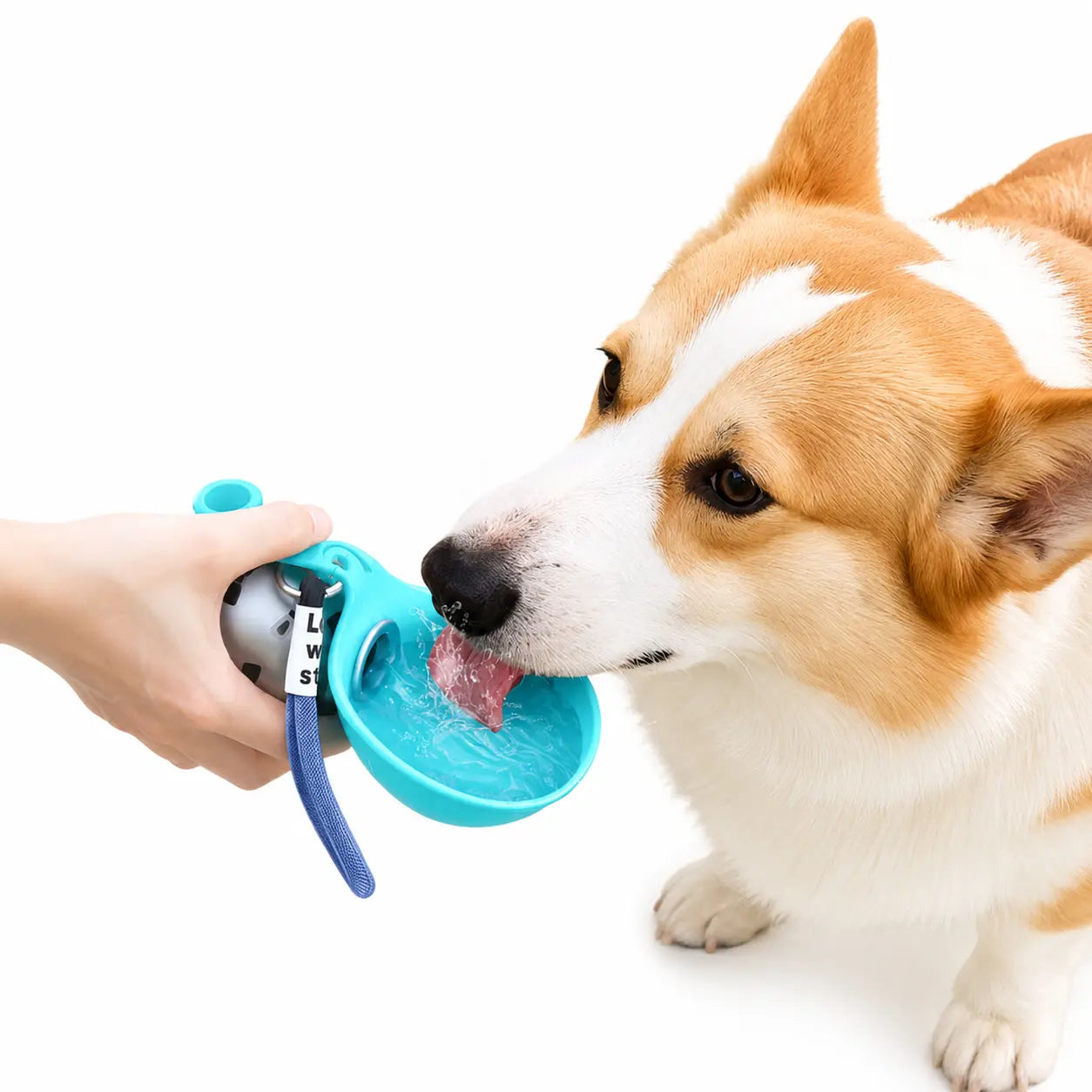 Durable Spill-Proof Dog Water Dispenser – Premium Portable Bottle for All-Terrain Travel with Effortless Single-Handed Operation and Leak-Free Assurance