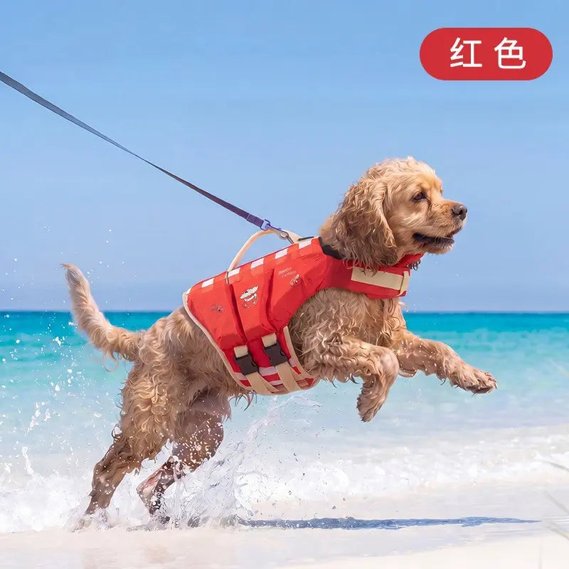 Dog Life Jacket - Pet High-Visibility Gear with Bright Contrast Colors, Ripstop Quick-Dry Fabric, Head Support, Enhances Visibility Water Safety Lifesaver for Pool, Lake Activities