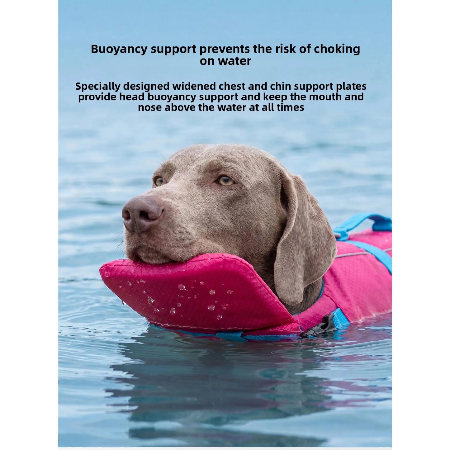 Dog Life Jacket - Pet High-Visibility Gear with Bright Contrast Colors, Ripstop Quick-Dry Fabric, Head Support, Enhances Visibility Water Safety Lifesaver for Pool, Lake Activities
